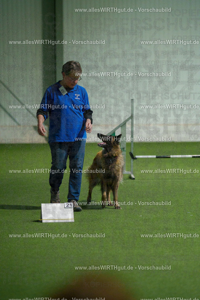 7R507899 | Professionelle Tierfotografie in Mönchengladbach von Daniel Wirth (allesWIRTHgut). Liebevolle & natürliche Bilder von Hunden & Katzen für unvergessliche Erinnerungen.