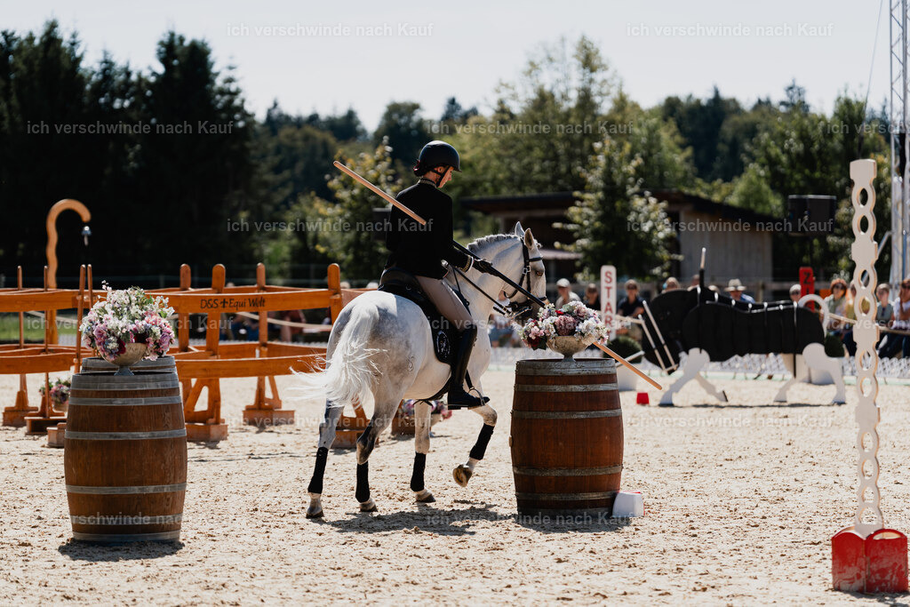 Virginie12FHC2025-08574 | working equitationturnier fotograf videograf stoibphotography marixx film working equitation deutschland reitsport turnierfotografie eventfotografie equestrian events