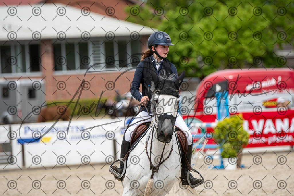 KPT_5384 | andre_photographic