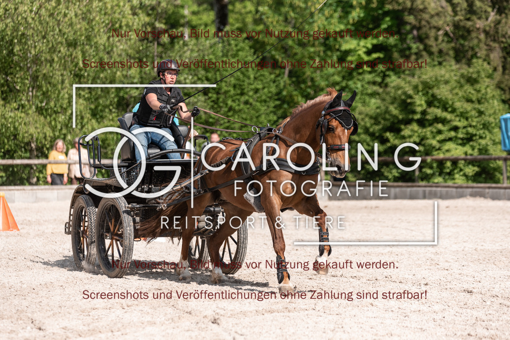 DSC_2071 | Turnierfotografin Carolin Gieschke, Turnierfotografie Carolin G Fotografie, Turnierfotos Kirchheim/Teck, Esslingen, Stuttgart, Bodenseekreis