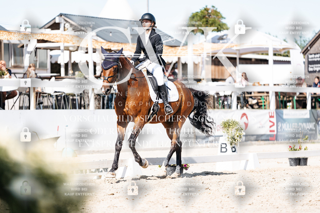 CK908697 | Turnierfotografie Pferdefotografie Trier Rheinland-Pfalz Pferdesport Reitsport Tierfotografie Sportfotografie Pferdevideo Pferdevideografie Equestrianvideography equestrianphotography  - Realisiert mit Pictrs.com