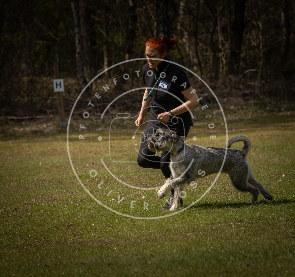 Pfotenfotografie_DV3A4567 | Hundefotografie, Tierfotograf, Pfotenfotografie, Fotoshooting Hund, Hunde Portrait, Hundesport, Hundeportraits, Heideshooting, Hunde, Sportfotograf, Hundefotograf, Turnierhundsport, THS,  - Realisiert mit Pictrs.com