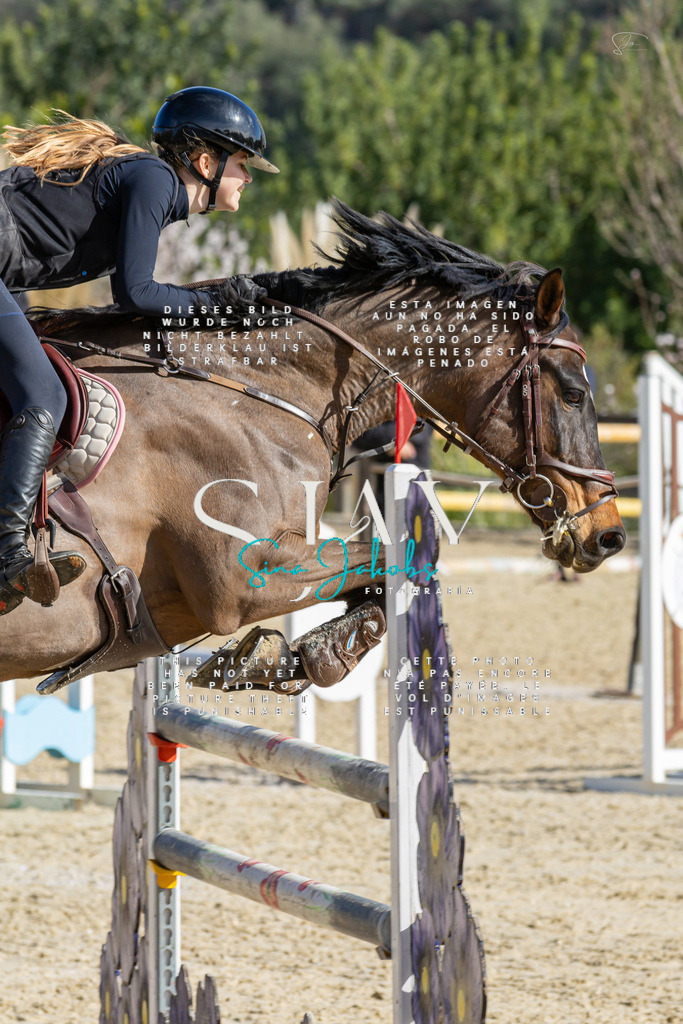 IMG_4310 | s-jay-photography - Realisiert mit Pictrs.com