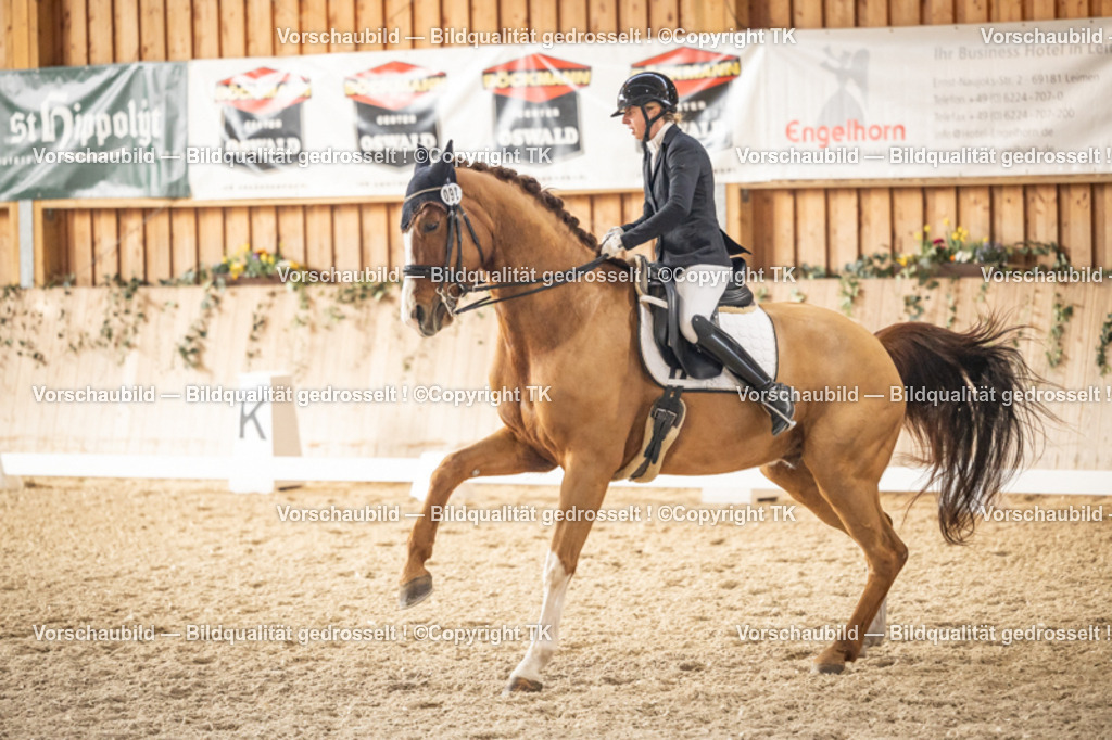 _D5A9205 | Emotionale Pferde- & People-Fotografie rund um Heidelberg, Leimen & Umgebung. Natürliche Fotos von Pferd, Mensch & Familie. Jetzt Termin sichern!