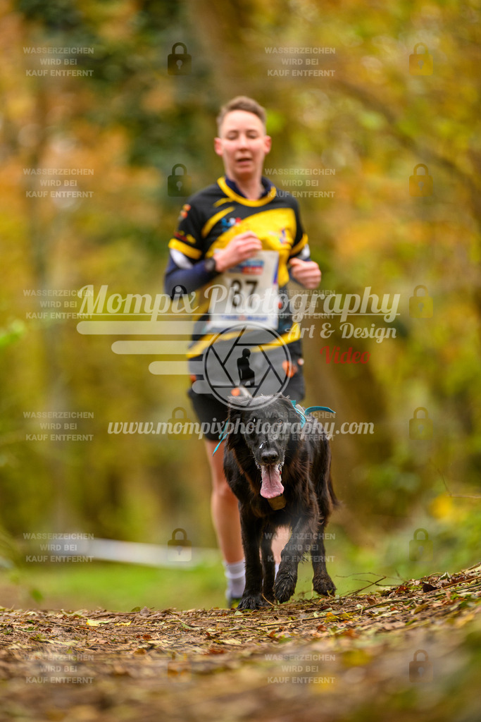 MompixPhotography_Bischwiller24_SA_Canicross-169 | PayLife