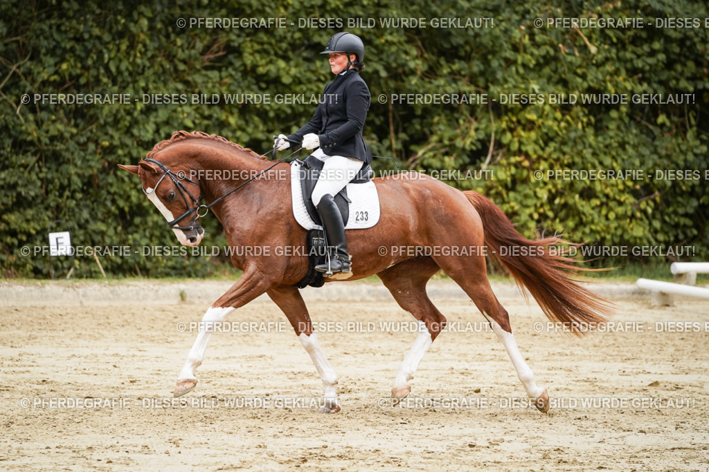 DSC00288 | Pferdegrafie