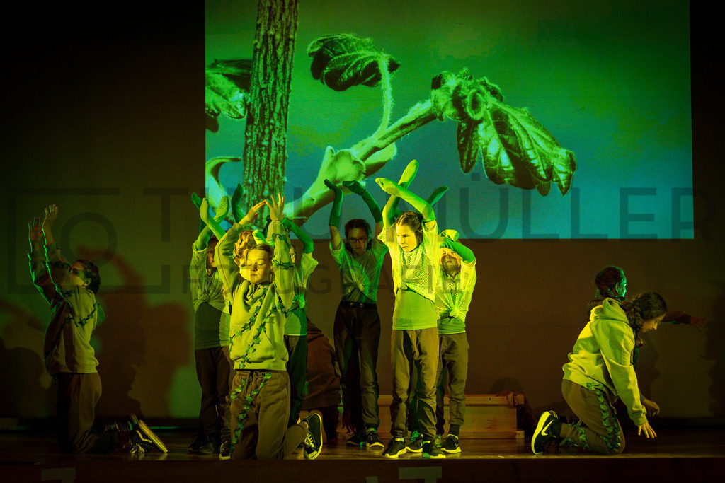 DSC05066 | Tinu Müller Fotografie- Bildershop - Realisiert mit Pictrs.com