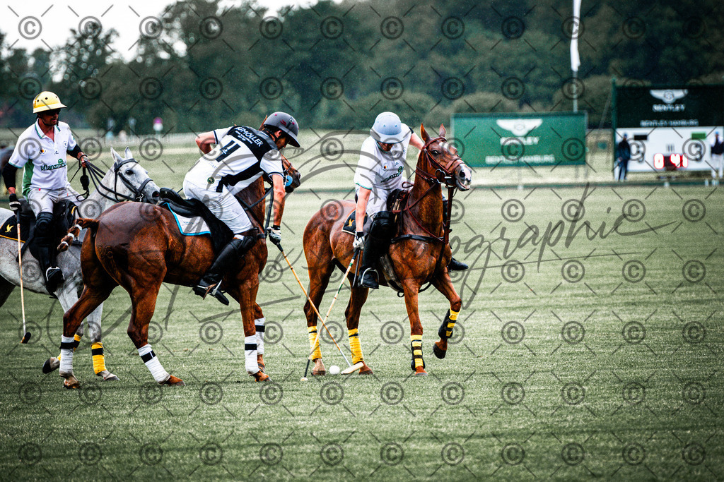 POL_2654 | andre_photographic