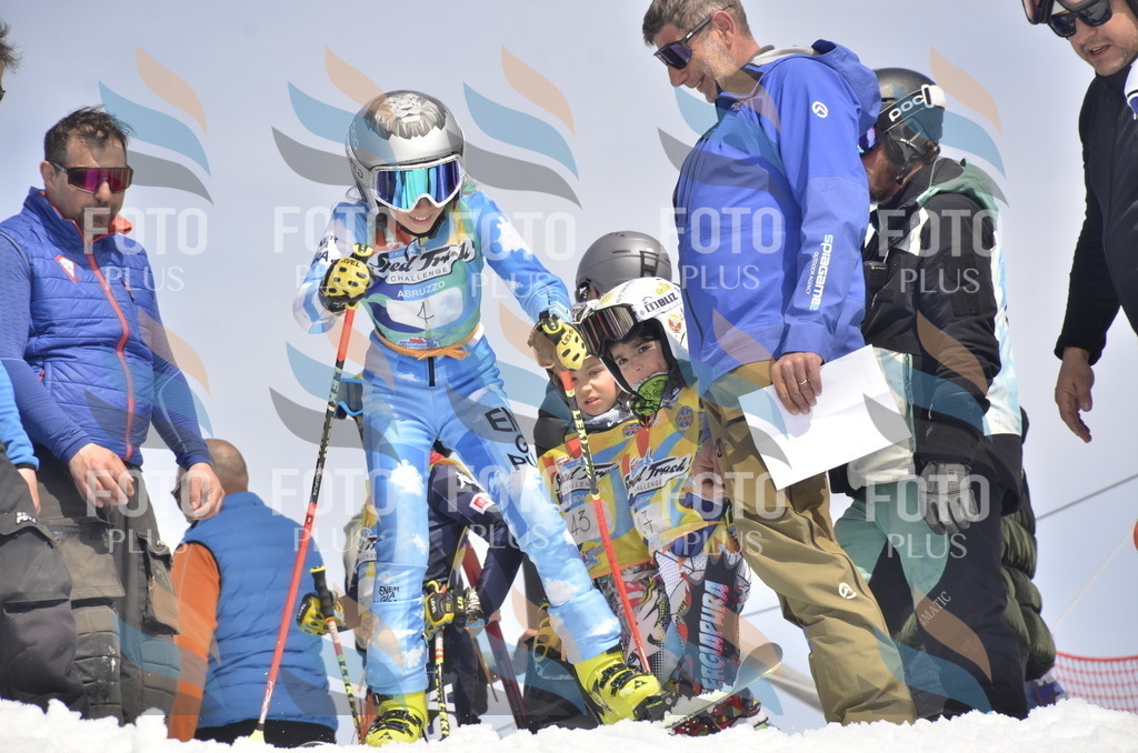 _ELE8492 | holidayphoto