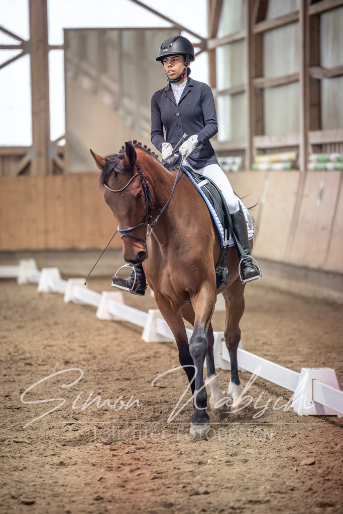 20251011-_3LI0409 | Tierfotografie Pferde, Hunde, Katzen, Haustiere.
Turnierfotografie Reitturniere, Reiten, Springreiten, Dressur in Hanau, dem Main-Kinzig-Kreis und dem Rhein-Main- Gebiet um Frankfurt