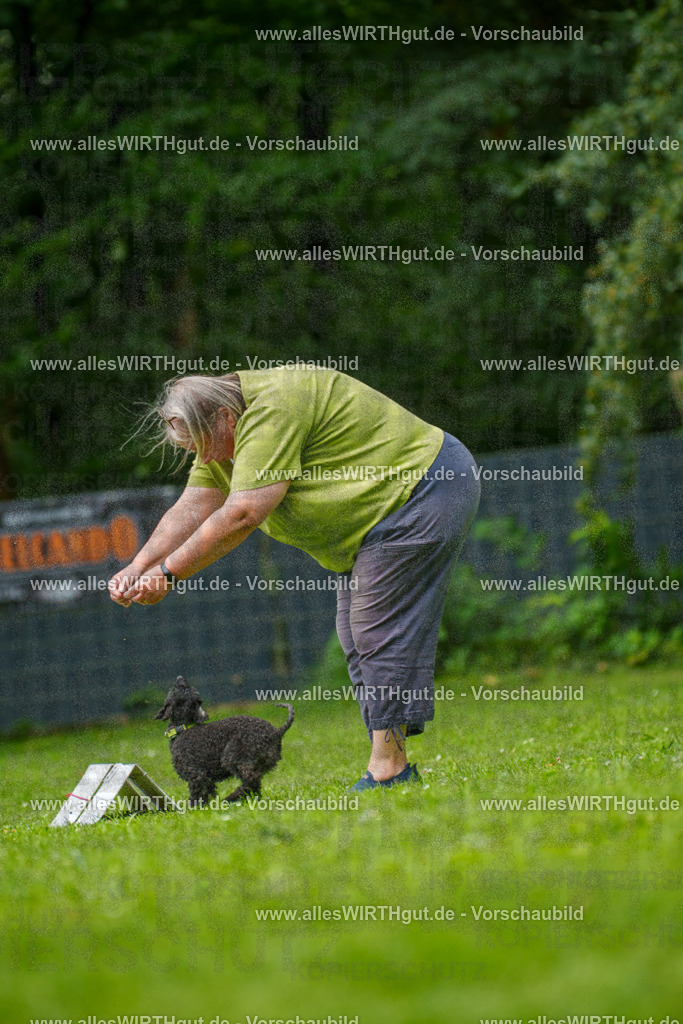 @allesWIRTHgut_Tierfotografie - www.allesWIRTHgut.de - 7R500366 | Professionelle Tierfotografie in Mönchengladbach von Daniel Wirth (allesWIRTHgut). Liebevolle & natürliche Bilder von Hunden & Katzen für unvergessliche Erinnerungen.