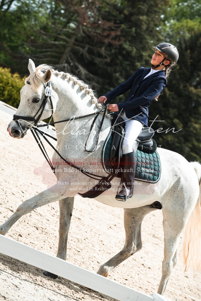 20230518_JK-Röhrsdorf-11-0339 | Pferde- und Turnierfotografie in Westsachsen. Pferdeportraits, Auftragszeichnungen und intuitive Kunst.