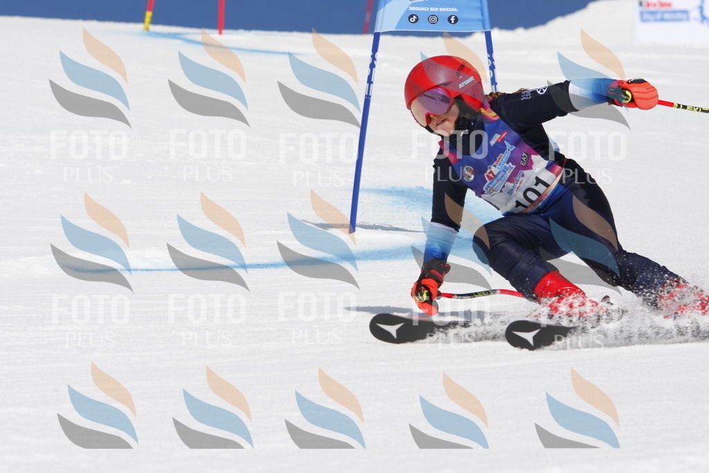 _W1G1505 | holidayphoto