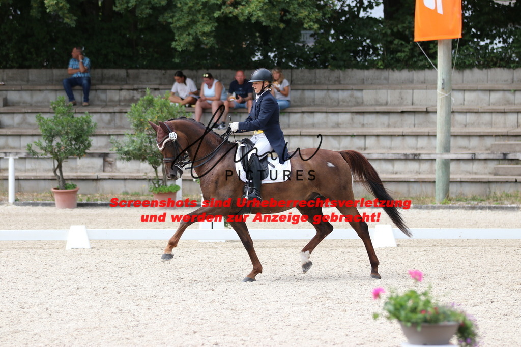 IMG_1773 | lmwpictures - Realisiert mit Pictrs.com