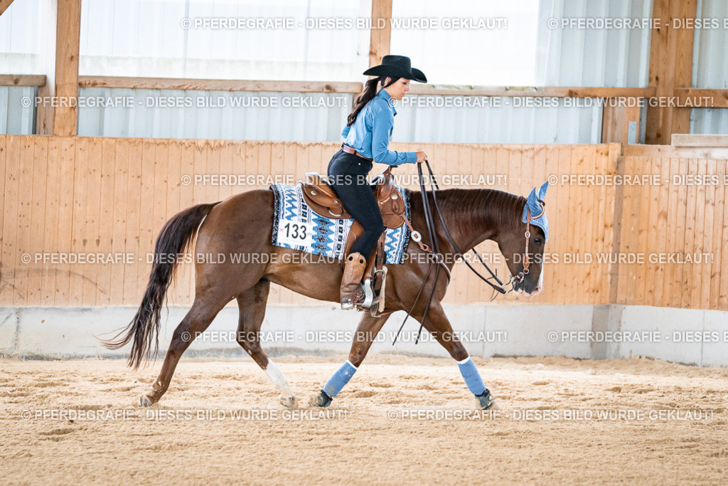 DSC08594 | Pferdegrafie