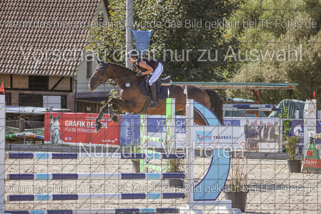 2025-09-21_02-40-07_MG_7352 | TE-Fotos