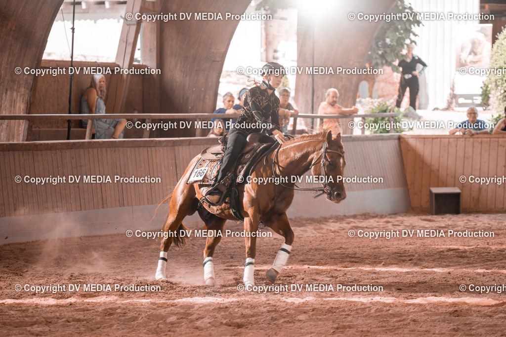 NE300749 | dv-media-shop - Realisiert mit Pictrs.com