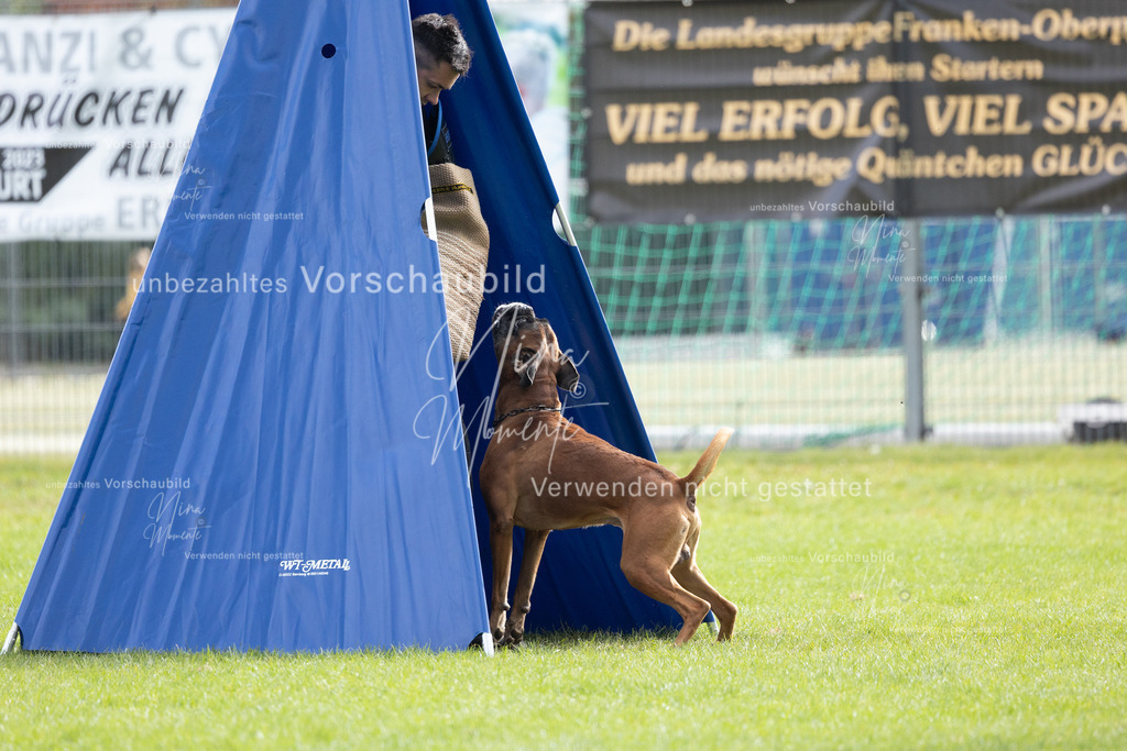 _16A7022 | Einzigartige Fotos von Hunden & Menschen –Actionfotos, Portraits, Vereinsaufnahmen & Paarshootings – authentisch, lebendig & mit Herz.