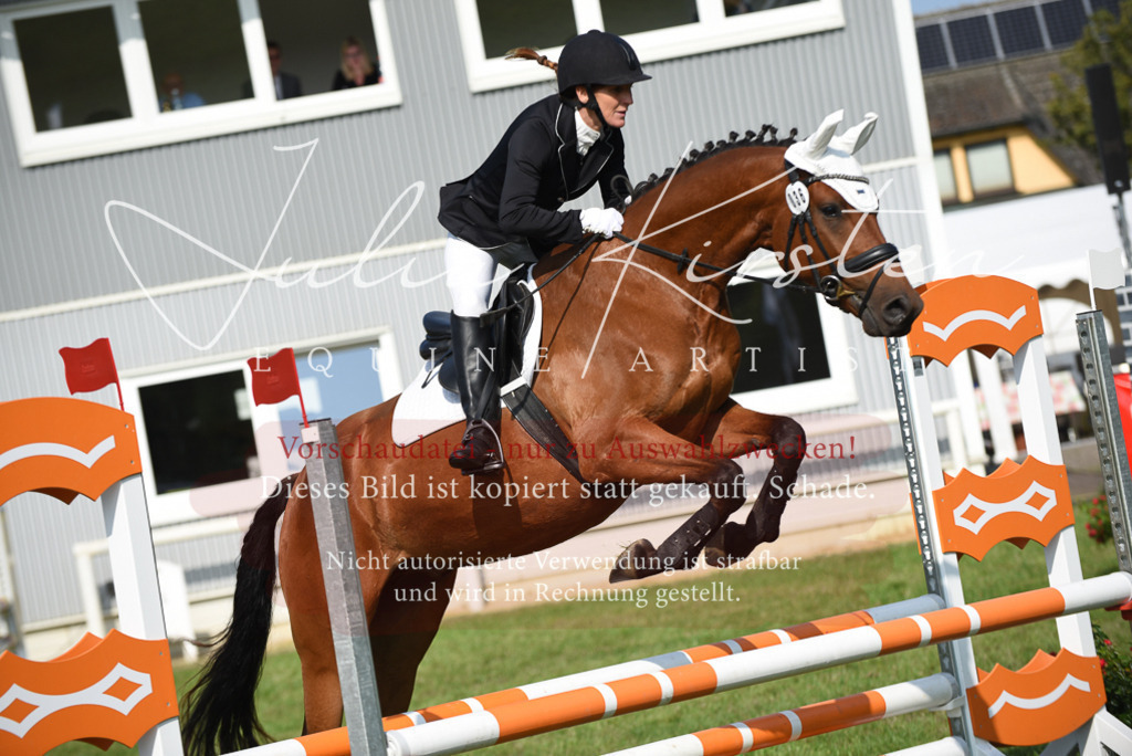 DSC_8881 | Pferde- und Turnierfotografie in Westsachsen. Pferdeportraits, Auftragszeichnungen und intuitive Kunst.