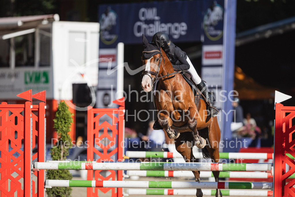 230908_OWLCh_AmateurS-157 | Deine schönsten Turniermomente als professionelle Fotos! Entdecke hochwertige Pferdesport-Fotografie im Online-Shop. Jetzt Fotos finden & bestellen!