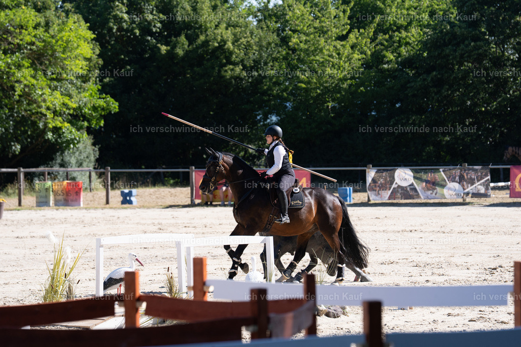 WL_SP_58_SinaFilmArt_IN05848 | working equitationturnier fotograf videograf stoibphotography marixx film working equitation deutschland reitsport turnierfotografie eventfotografie equestrian events
