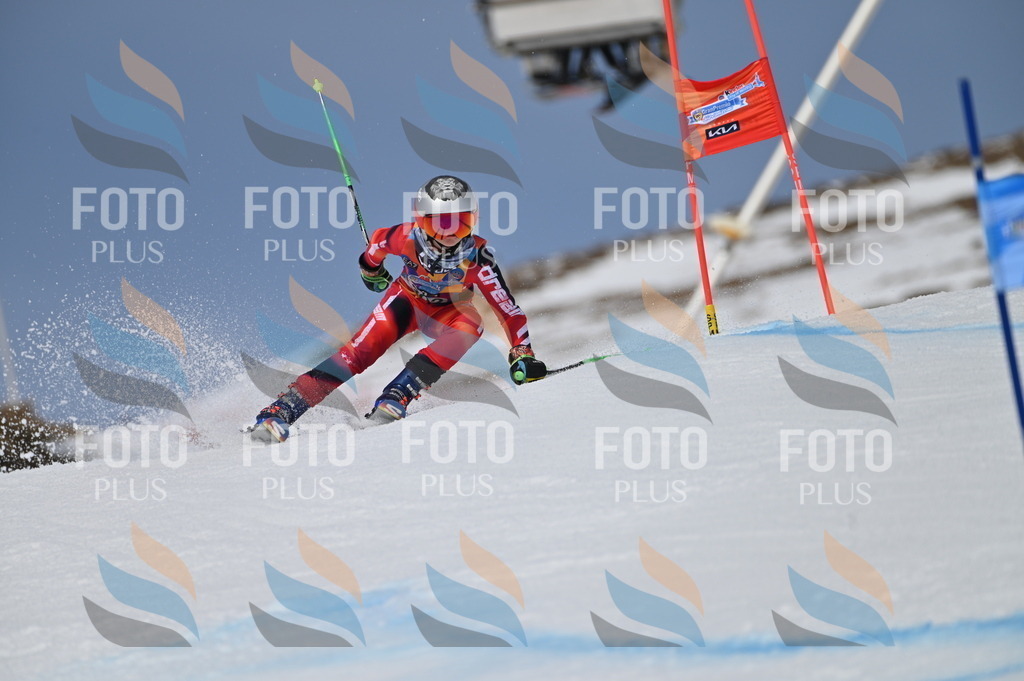 BGV_5990 | holidayphoto