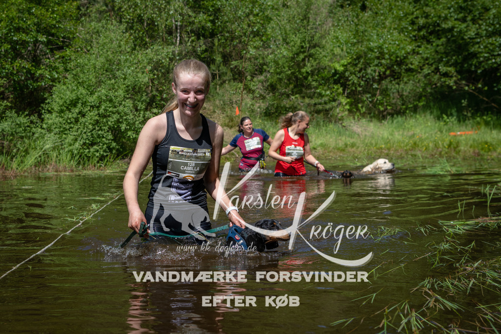 1147DKK991062 | kk-dogfotos