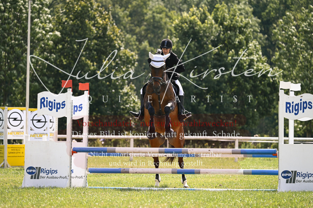 DSC_9011 | Pferde- und Turnierfotografie in Westsachsen. Pferdeportraits, Auftragszeichnungen und intuitive Kunst.