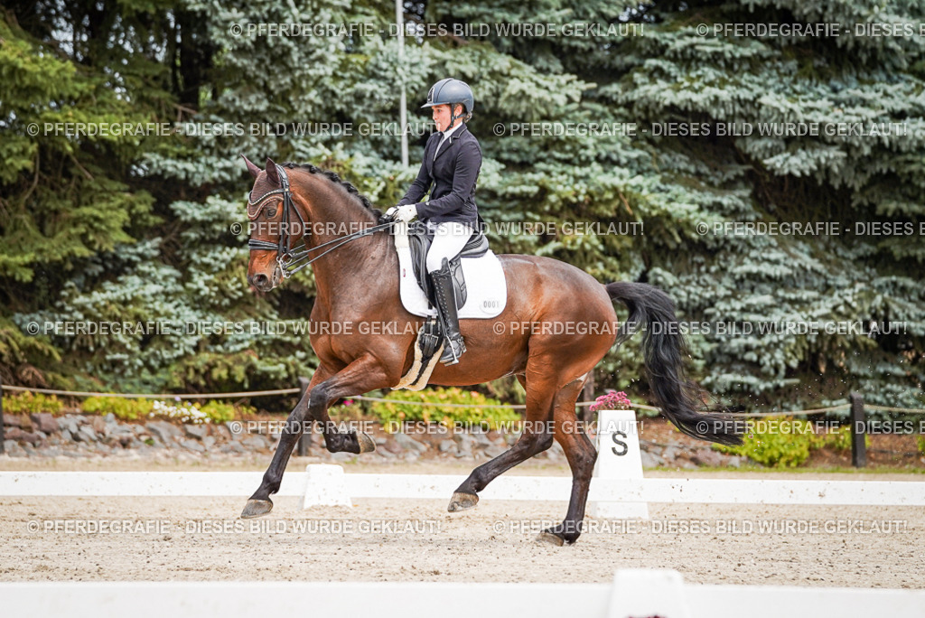 DSC04866 | Pferdegrafie