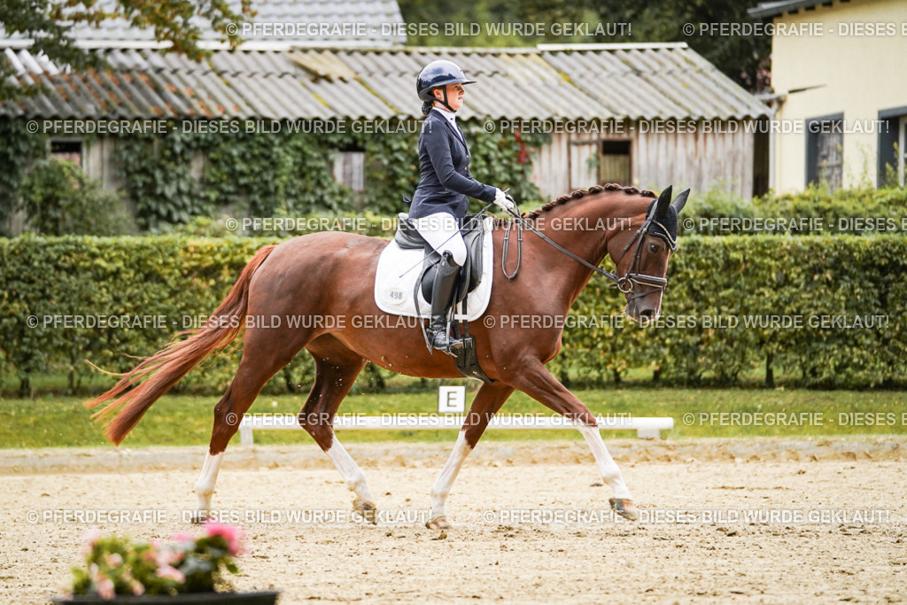 DSC06885 | Pferdegrafie