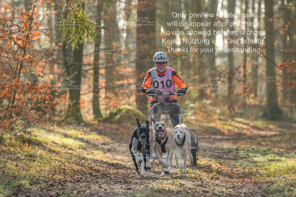 So_Gespanne-1 | stephaniefillaphotographie - Realisiert mit Pictrs.com