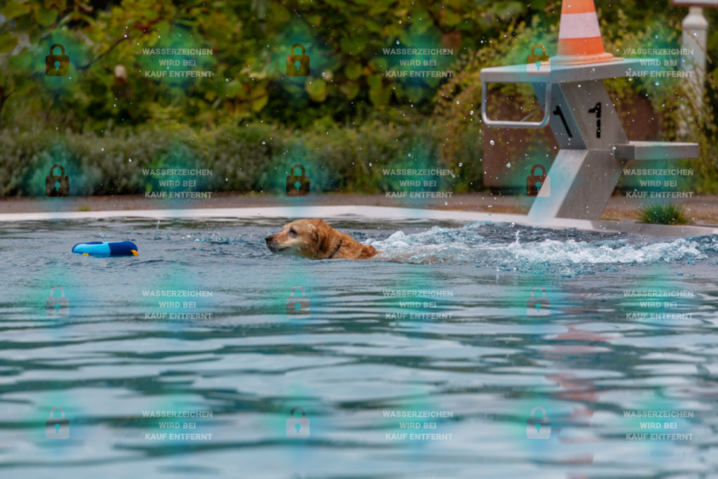 _HP_6081_1000o | HetPix, HetPix Fotodesign, Fotografie, Fotodesign, Webshop, Sportfotografie, Portraitfotografie, Onlineshop, Sportfotografie, Polch, Motorsportfotografie, Eventfotografie