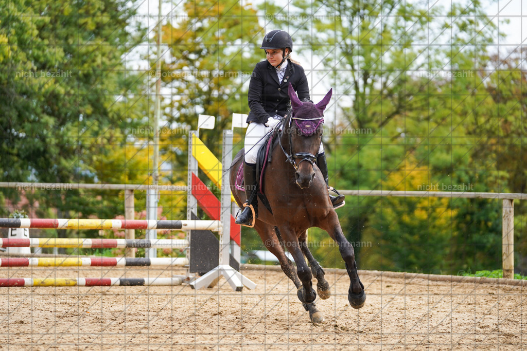 20221009-FAH08464 | Diessen am Ammersee, 2022, Dressur- und Springturnier, Reitsportbilder, Turnierfotografen Bayern, Pferdefotografen, Fotoagentur Herrmann, Turnierbilder