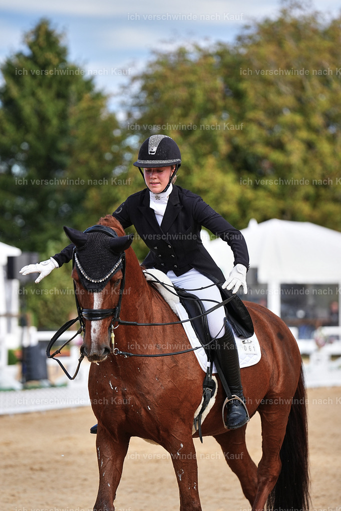 10-061-ST.GEORG SPECIAL -Marixx-3333 | working equitationturnier fotograf videograf stoibphotography marixx film working equitation deutschland reitsport turnierfotografie eventfotografie equestrian events