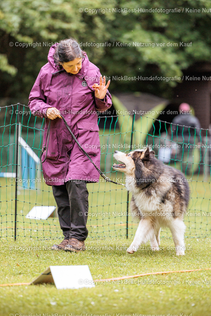 RO-Blumenthal-2026-Nickbest-Hundefotografie-0771 | Dein Hund! Dein Moment! Deine Erinnerungen! Hundefotografie in Bremen Blumenthal. Ich fange die besonderen Momente deines Vierbeiners ein – ob Indoor mit Blitzanlage oder in der freien Natur. Sicher dir dein Moment und dein Termin für eure Erinnerungen.
