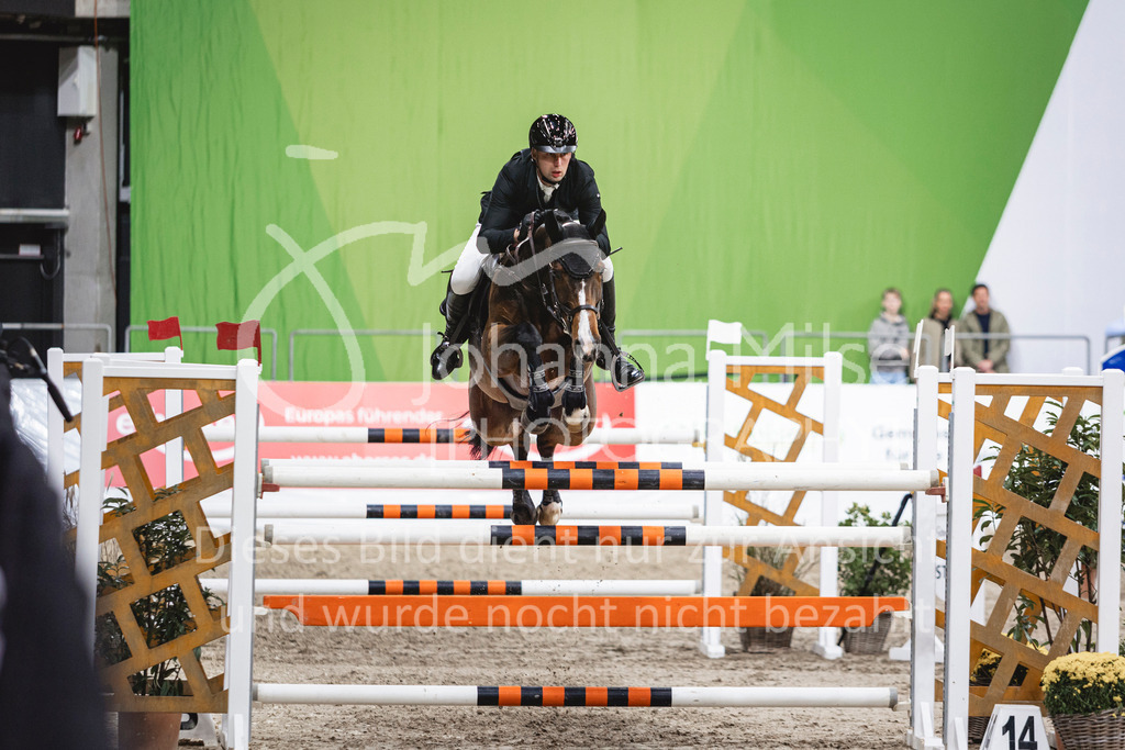 241102_Oldenburg_FinaleWaldbach-143 | Deine schönsten Turniermomente als professionelle Fotos! Entdecke hochwertige Pferdesport-Fotografie im Online-Shop. Jetzt Fotos finden & bestellen!