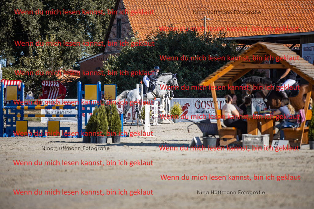 BK1A7411 | Turnierbilder Turnierfotos Nina Hüffmann Turnierfotografie Pferdefotografie Tierzeichnung Haustierzeichnung Pferdezeichnung Hundezeichnung Videograf  - Realisiert mit Pictrs.com