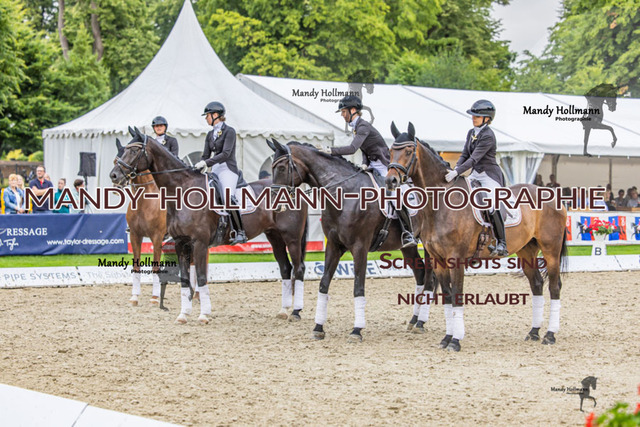 25.7.25 D1 59 (628 von 1569) | mandyhollmannphotographie