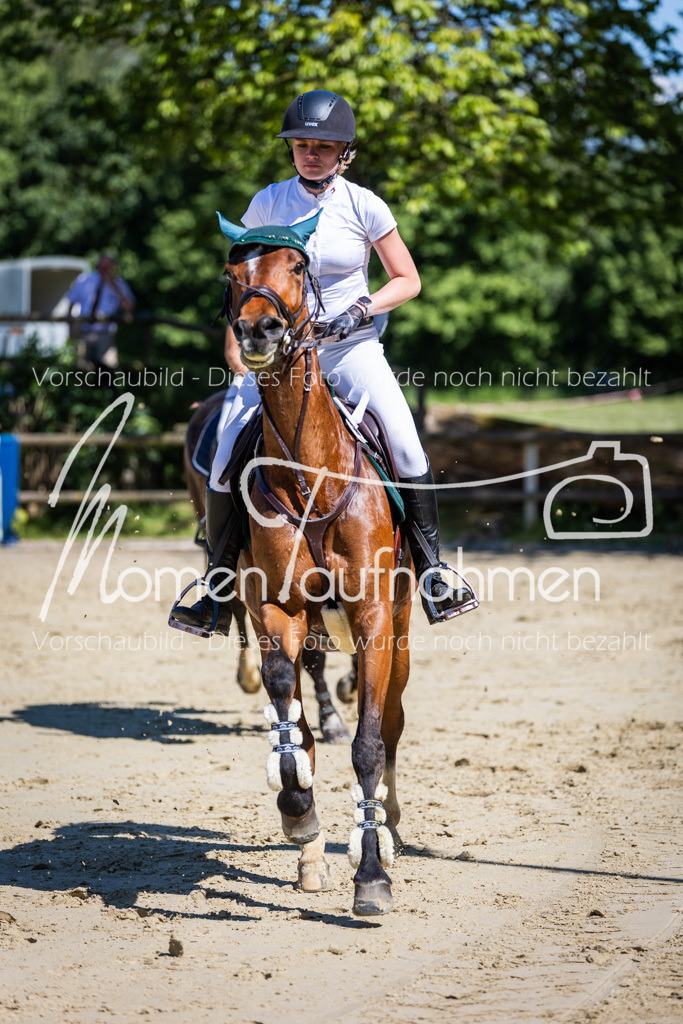 Donop24-M-Spr-102 | MomenTaufnahmen Pferdesportfotos