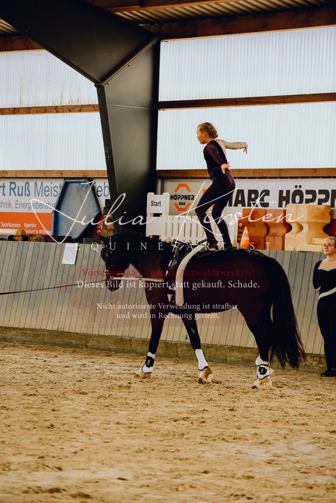 DSC_6885 | Pferde- und Turnierfotografie in Westsachsen. Pferdeportraits, Auftragszeichnungen und intuitive Kunst.