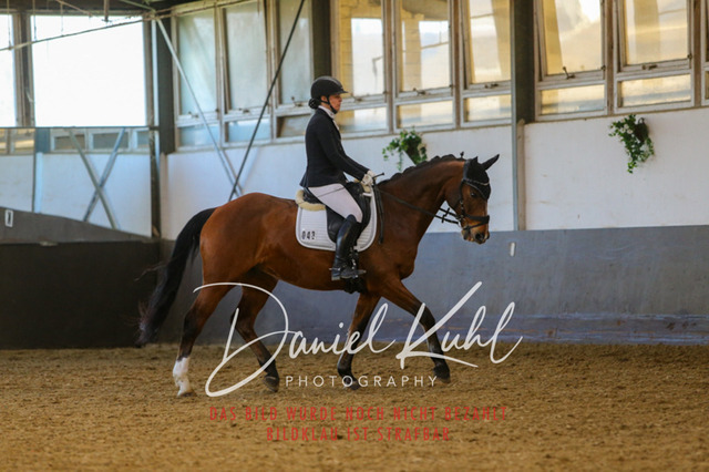 IMG_3291 | Turniersportfotografie; Pferdefotografie; Dressurfotografie