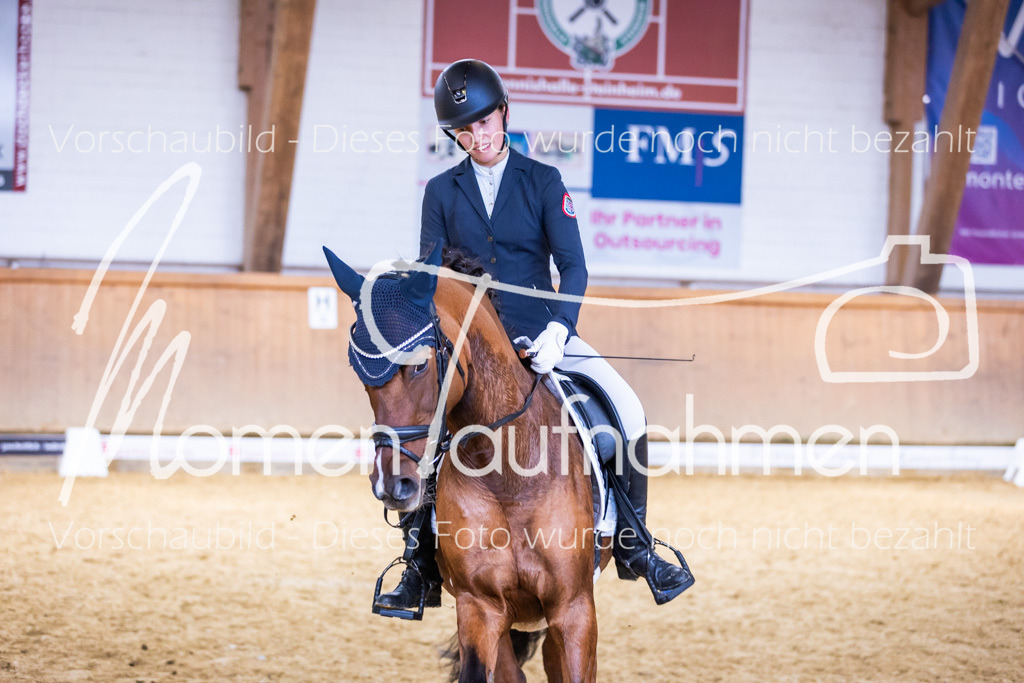 Sth-A-Dre-2St-224 | MomenTaufnahmen Pferdesportfotos