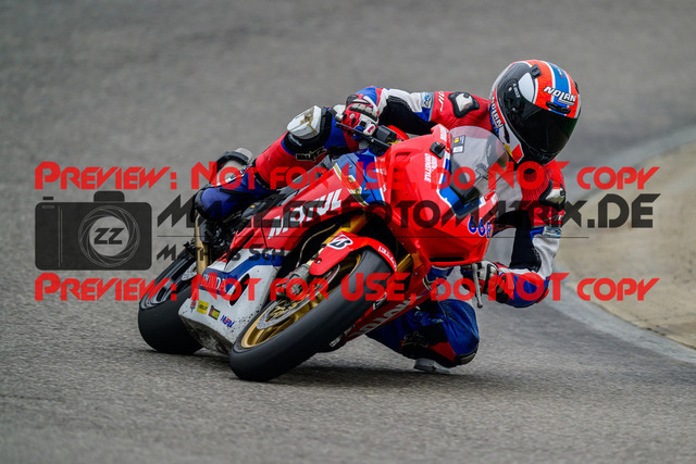 MaZZes_Fotomatrix_20240923_6007705_0992-2 | WEISS