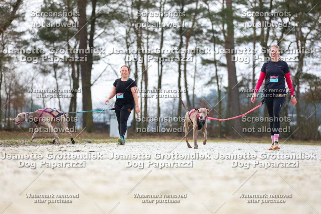 Dog Paparazzi - Strongdog North Mrz26-3926 | Dog Paparazzi Jeanette Grottendiek Fotografie & Videografie - Realisiert mit Pictrs.com