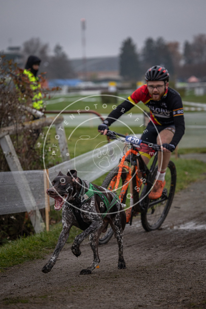 CaniXpix_0L8A1623 | Hundefotografie, Tierfotograf, Pfotenfotografie, Fotoshooting Hund, Hunde Portrait, Hundesport, Hundeportraits, Heideshooting, Hunde, Sportfotograf, Hundefotograf, Turnierhundsport, THS,  - Realisiert mit Pictrs.com