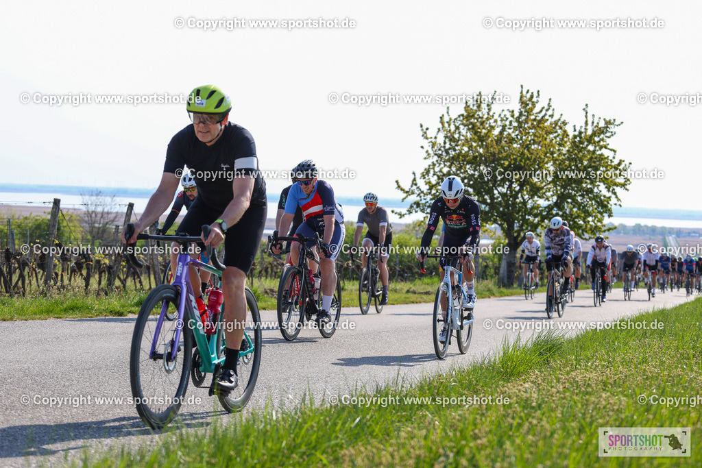 IMG_1467 | @sportshot_your_pictrs #yourpictures#roadtowm2029 #nrm #neusiedlerseeradmarathon #neusiedlersee #neusiedlerseetourismus #burgenland #mörbisch #nrm26 #burgenlandtourismus #voglundco #poweredbyburgenlandtourismus #radsport #rad #marathon #ucigranfondo #visitburgenland #ucigranfondoworldseries