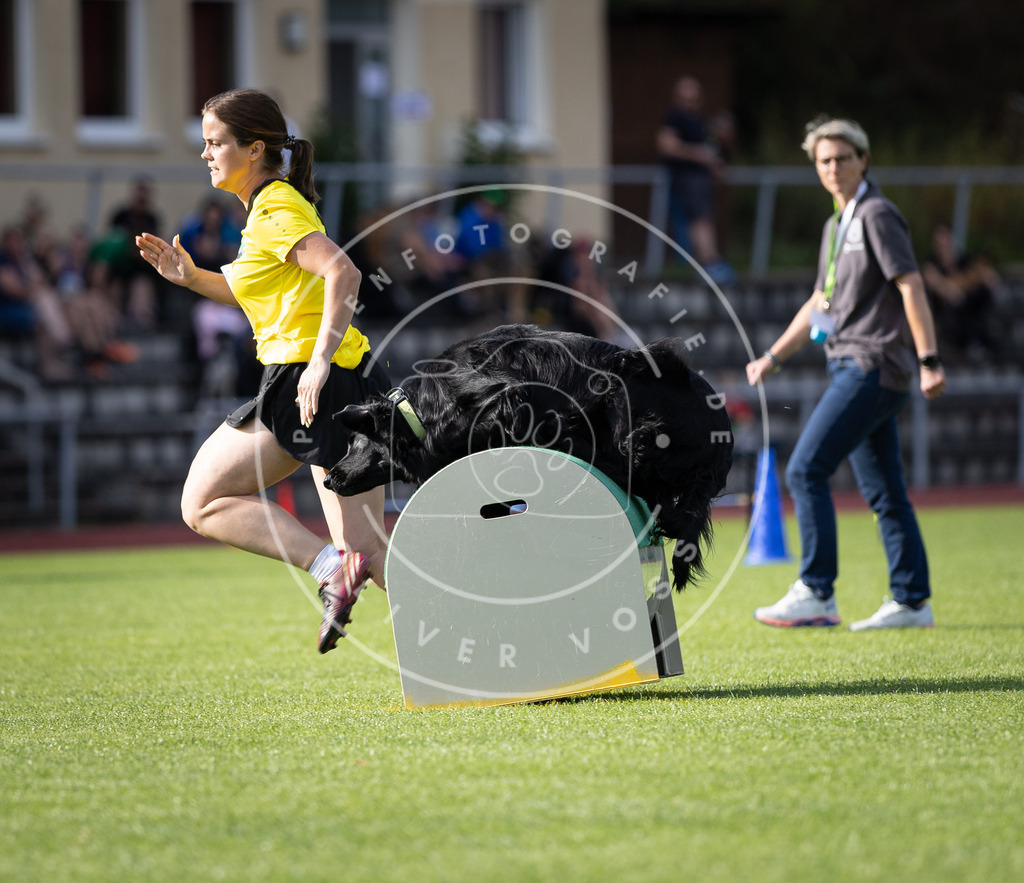 Pfotenfotografie_DV3A1872 | Hundefotografie, Tierfotograf, Pfotenfotografie, Fotoshooting Hund, Hunde Portrait, Hundesport, Hundeportraits, Heideshooting, Hunde, Sportfotograf, Hundefotograf, Turnierhundsport, THS,  - Realisiert mit Pictrs.com