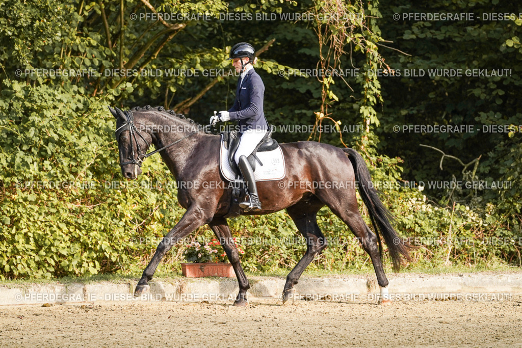 DSC04725 | Pferdegrafie