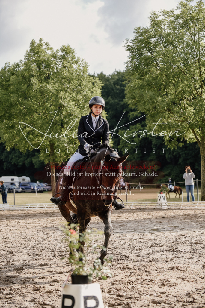 DSC_8624 | Pferde- und Turnierfotografie in Westsachsen. Pferdeportraits, Auftragszeichnungen und intuitive Kunst.