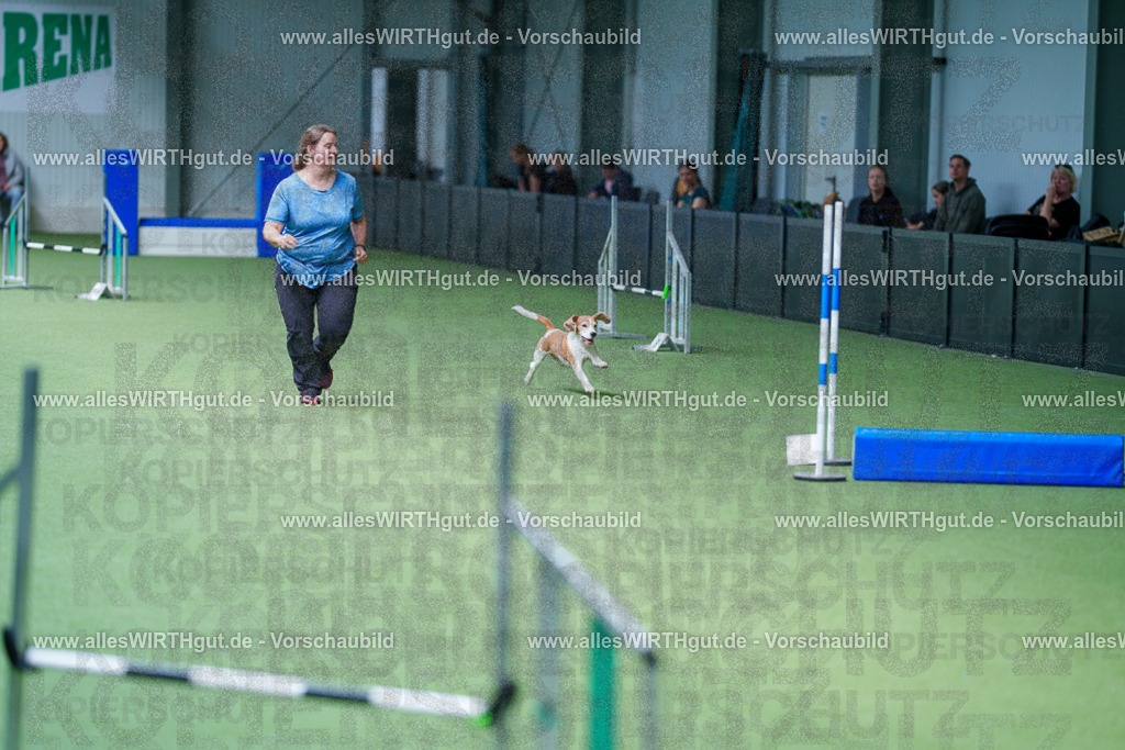 @allesWIRTHgut_Tierfotografie - www.allesWIRTHgut.de - 2604261221-7R500746 | Professionelle Tierfotografie in Mönchengladbach von Daniel Wirth (allesWIRTHgut). Liebevolle & natürliche Bilder von Hunden & Katzen für unvergessliche Erinnerungen.